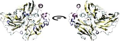 In silico Design of Laccase Thermostable Mutants From Lacc 6 of Pleurotus Ostreatus
